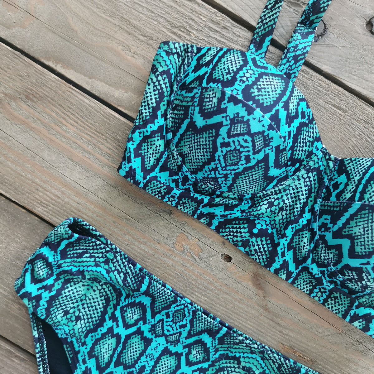 Snake print two piece bikini